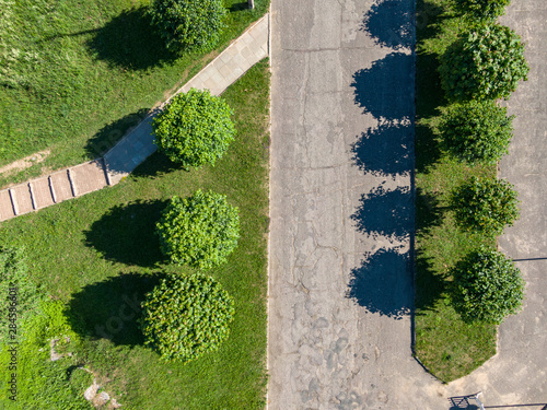 A road with trees. View from above
