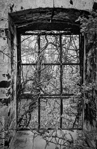 An old ruined hstoric store house onthe island of Curacao photo