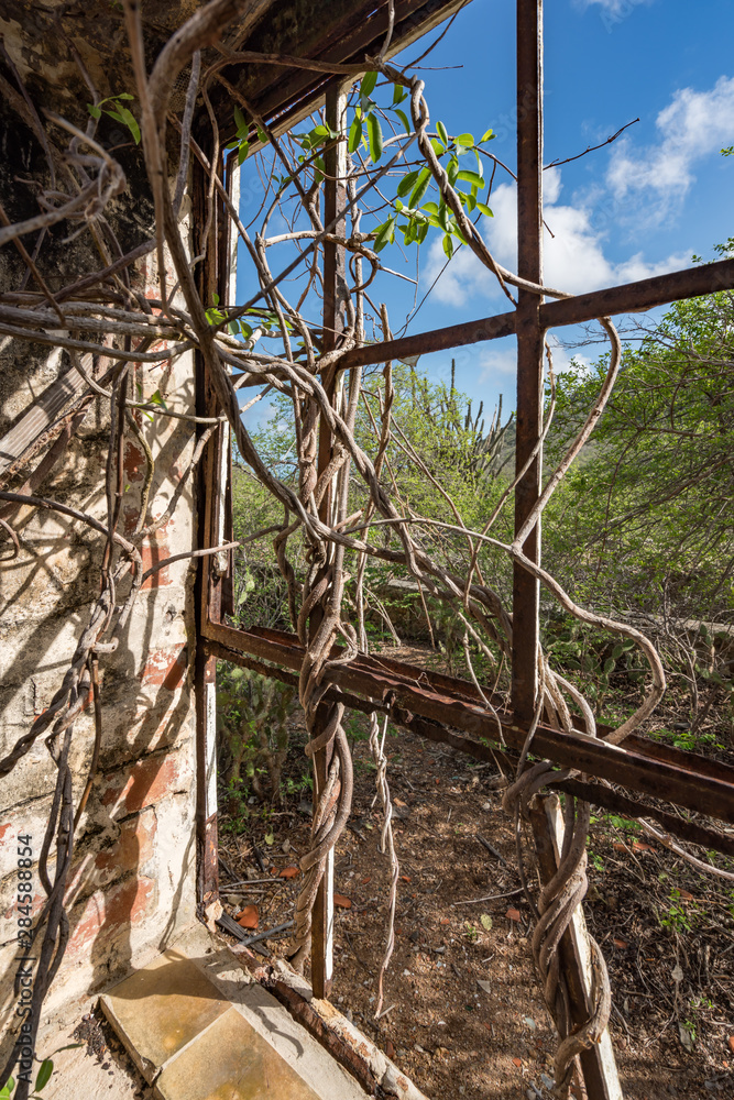 An old ruined hstoric store house onthe island of Curacao