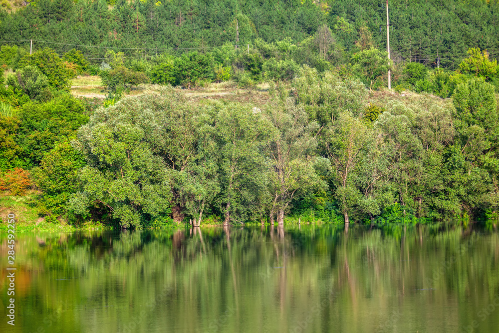 green nature reflection in the lake water green nature reflection in the lake water