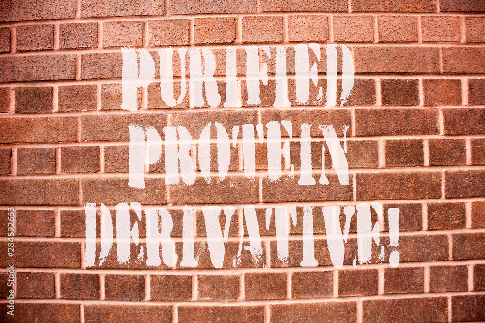Text sign showing Purified Protein Derivative. Conceptual photo the extract of Mycobacterium tuberculosis Text sign showing Purified Protein Derivative. Conceptual photo the extract of Mycobacterium tuberculosis