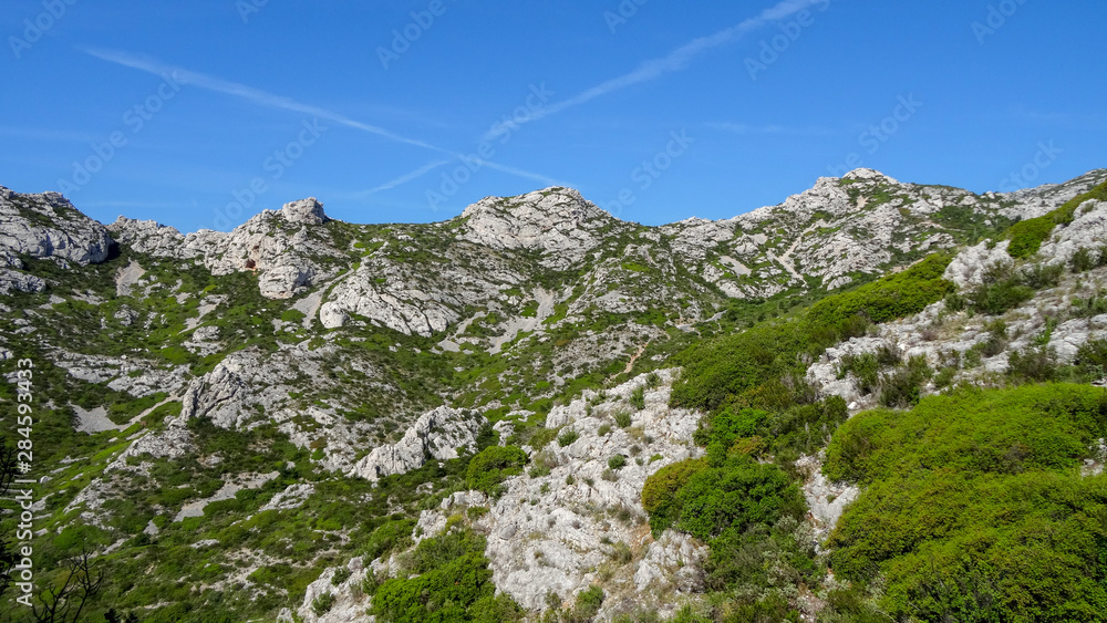 Park with calanques in Marseille, south of France.