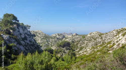Park with calanques in Marseille, south of France.