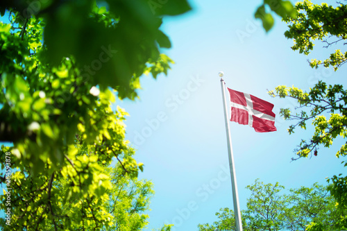 Denmark flag, Danish flag waving in the wind between trees photo