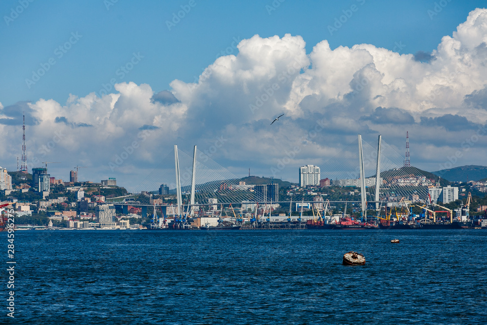 The marine facade of Vladivostok. Sea trade container port. Sea freight transportation.
