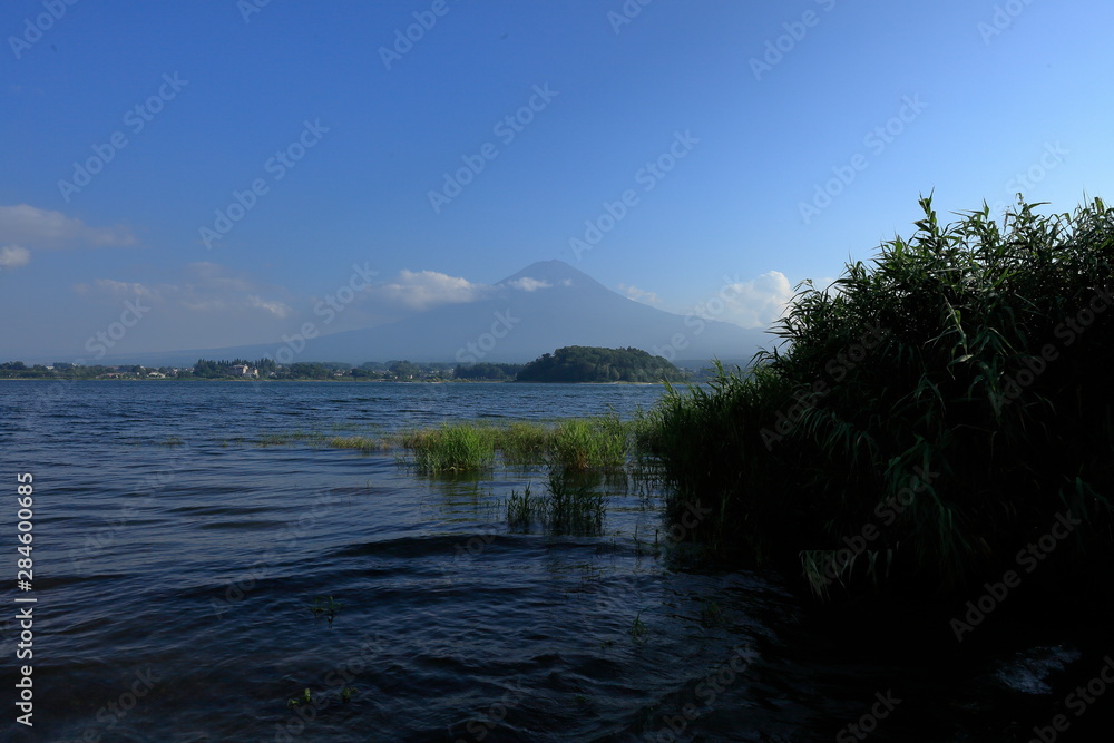 Mt.Fuji,Lake Motosuko of the morning