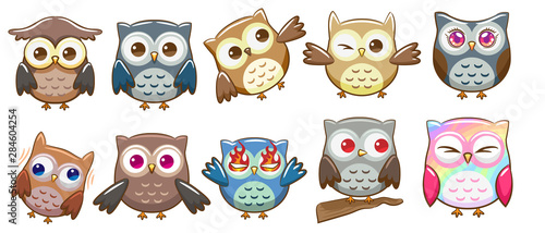 owl vector set graphic clipart design