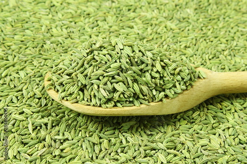 dried fennel seeds or Saunf herb in spoon isolated, top view  photo