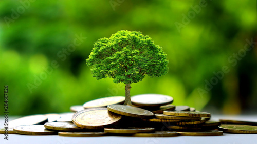 Small trees on a pile of gold coins and a natural green background. Money saving ideas. photo