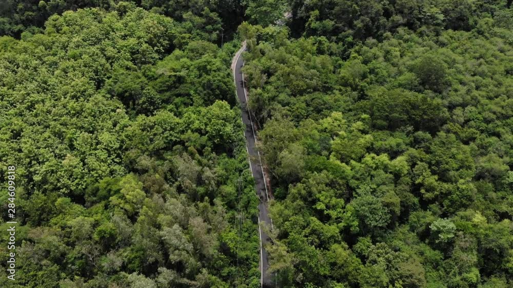 Road through the tropical evergreen forest or tropical rain forest, Aerial view of empty road in evergreen forest Road through the tropical evergreen forest or tropical rain forest, Aerial view of empty road in evergreen forest