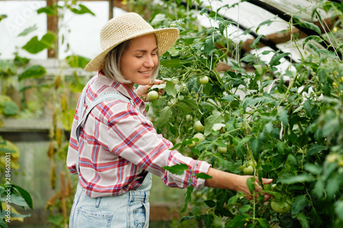 Cute girl in Wearing Hat Working in a Home Greenhouse. Autumn Vegetable Harvest