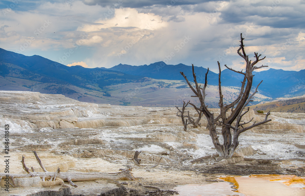 Obraz premium yellowstone