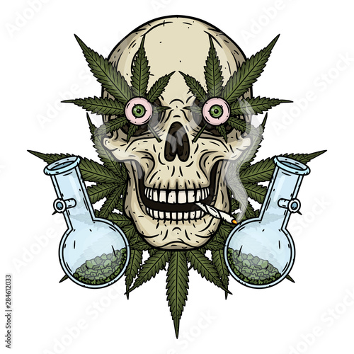 Skull. Skull with bong and marijuana leaves. Rastaman skull with cannabis leafs and spliff.