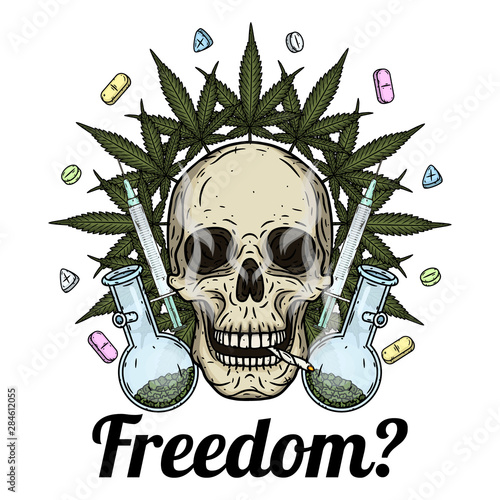 Skull. Skull with bong and marijuana leaves. Rastaman skull with cannabis leafs and spliff.