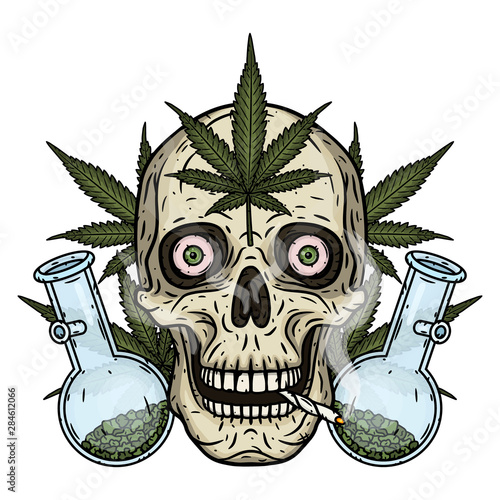 Skull. Skull with bong and marijuana leaves. Rastaman skull with cannabis leafs and spliff.