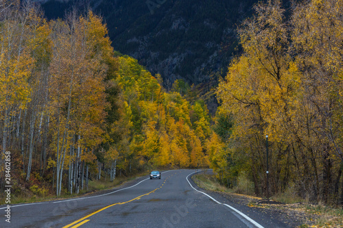 Autumn road