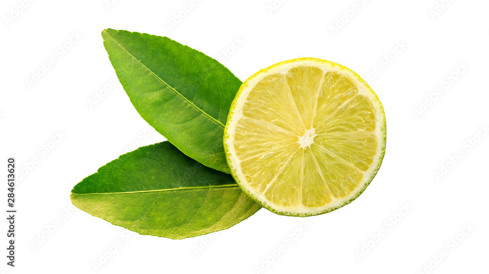 Green lime and leaf on a white background. Green lime and leaf on a white background.