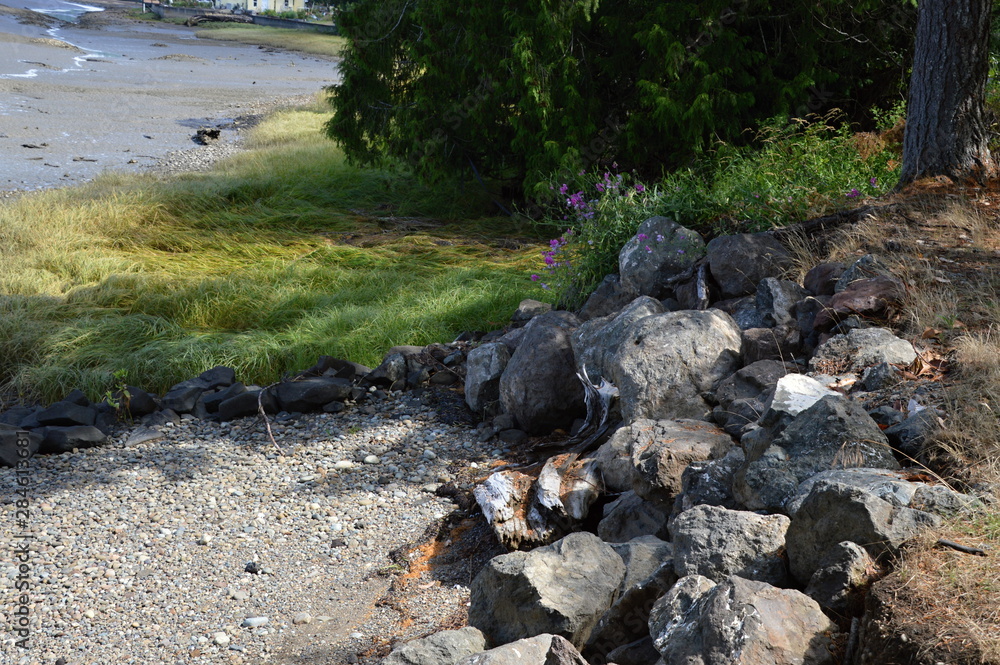 Obraz premium Olympic Halbinsel, Washington