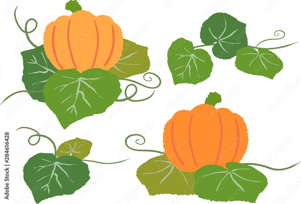 Obraz premium カボチャ セット