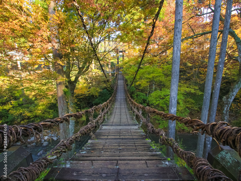 紅葉とかずら橋 足羽川渓谷 福井県 Stock Photo Adobe Stock 紅葉とかずら橋 足羽川渓谷 福井県 Stock Photo Adobe Stock