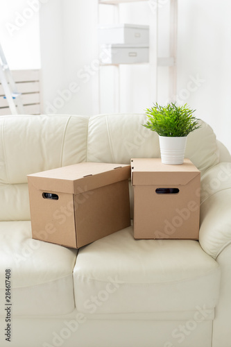 Boxes with things and a flower in the pot stand on the couch during the move of residents to a new apartment. The concept of home buying and the hassle of moving.