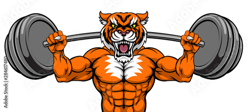 A tiger animal body builder sports mascot weight lifting a barbell