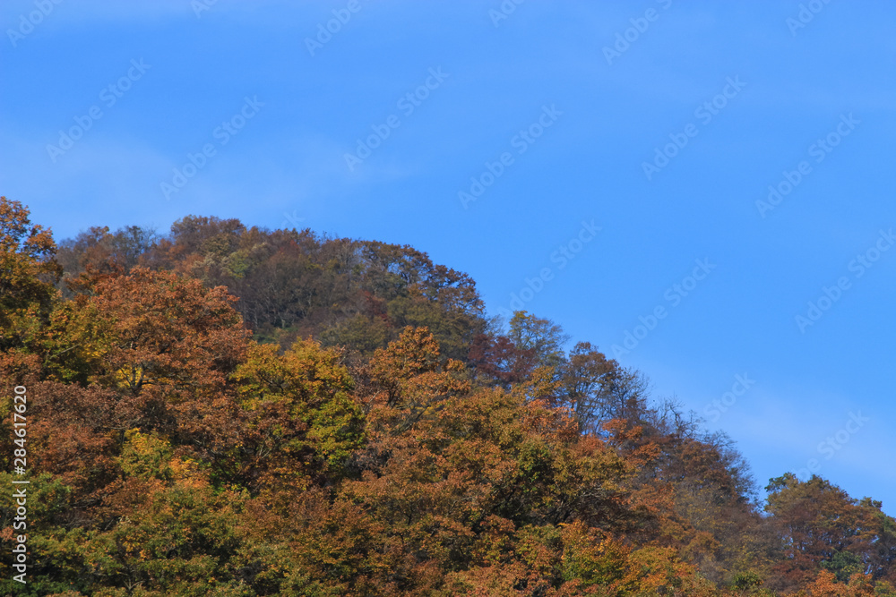 かずら橋近くの山と青空　福井県