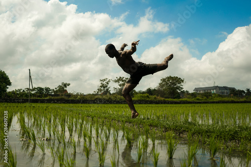 young attractive contemporary ballet dancer and choreographer , a black African American man dancing and posing on tropical rice field background