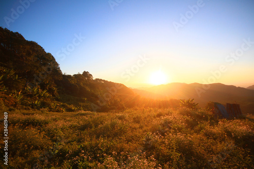 Beautiful bloming wild flowers fields and meadow in springtime on sunset and natural sunlight shining on mountain.