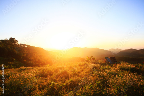 Beautiful bloming wild flowers fields and meadow in springtime on sunset and natural sunlight shining on mountain.