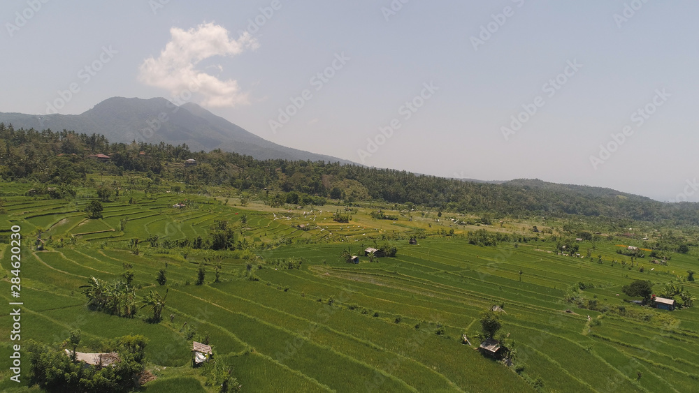 rice fields, agricultural land in countryside. aerial view farmland with rice terrace agricultural crops in rural areas Indonesia