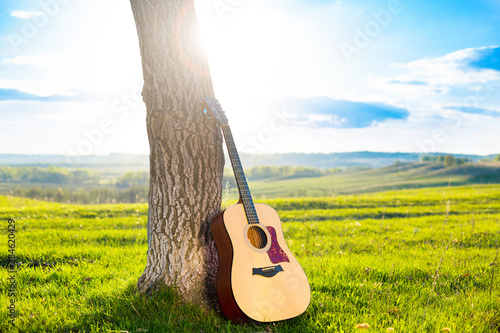 Acoustic guitar leaning against the trunk of a tree against a backdrop of beautiful scenery, a green meadow, spring hills, blue sky and sunset