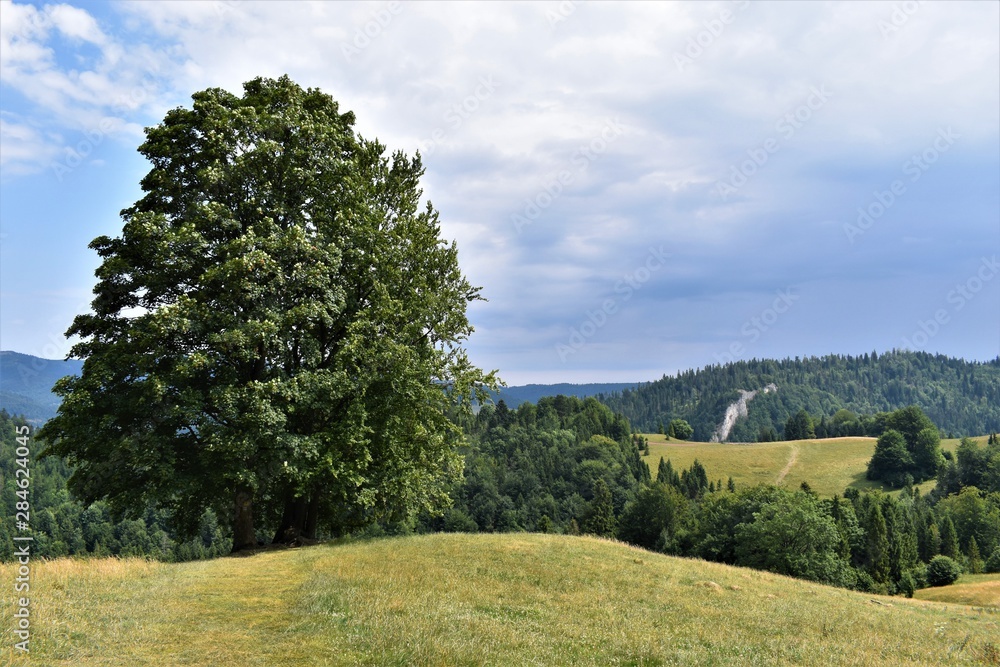 Obraz premium Pieniny