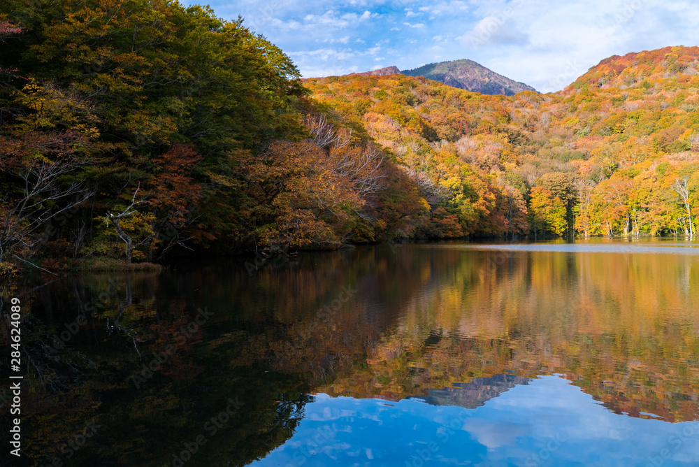 Autumn Fall Lake Japan