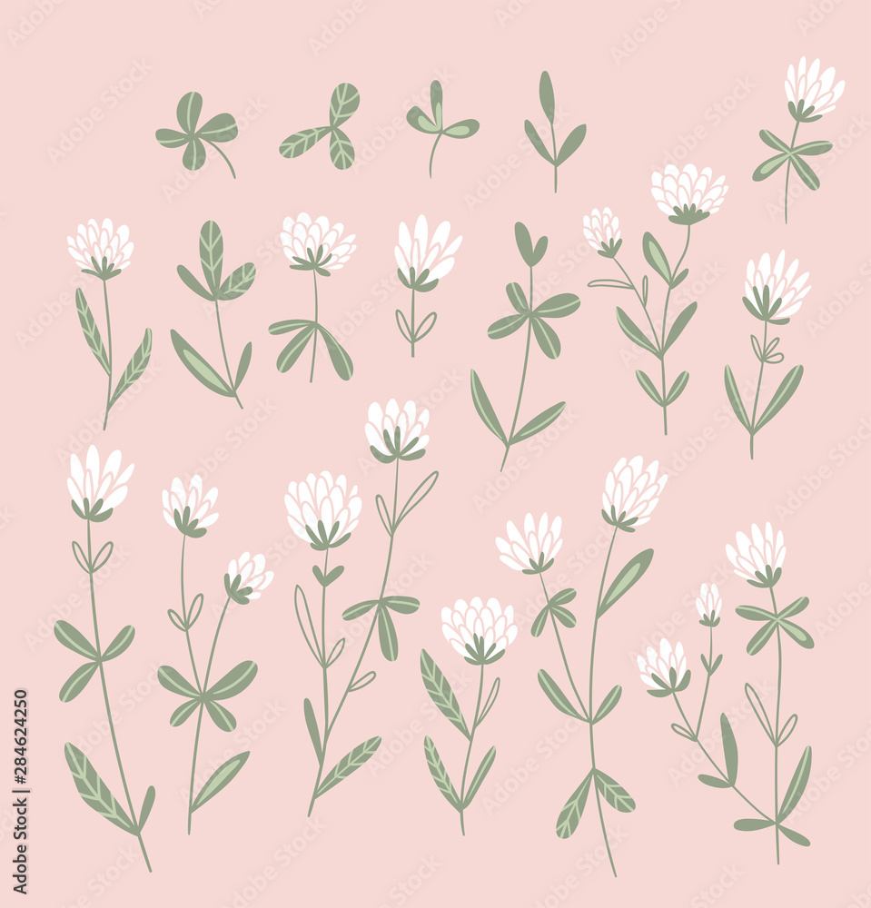 Naklejka White clover flowers isolated on the pink background. Vector floral set. Cute hand-drawn natural elements for design cards and invitations.