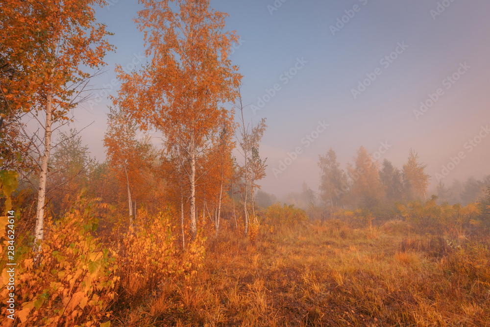 Beautiful autumn sunrise landscape. Foggy morning at scenic golden meadow. Beautiful autumn sunrise landscape. Foggy morning at scenic golden meadow.