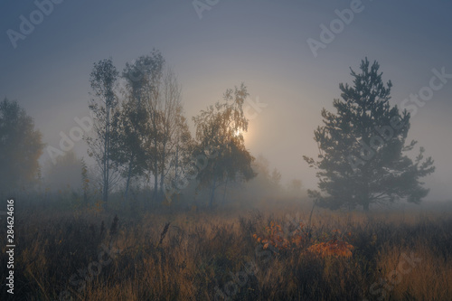 Beautiful autumn misty sunrise landscape. Foggy morning at scenic meadow.