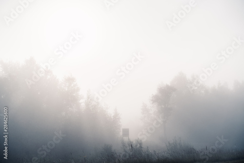 Foggy morning © Mikhail Mishchenko