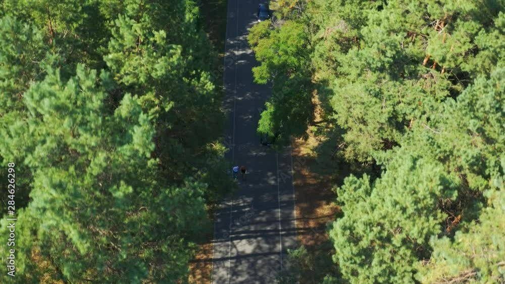 Top aerial view of friends running in the park. Men jogging in the forest. Healthy lifestyle concept 4k Top aerial view of friends running in the park. Men jogging in the forest. Healthy lifestyle concept 4k