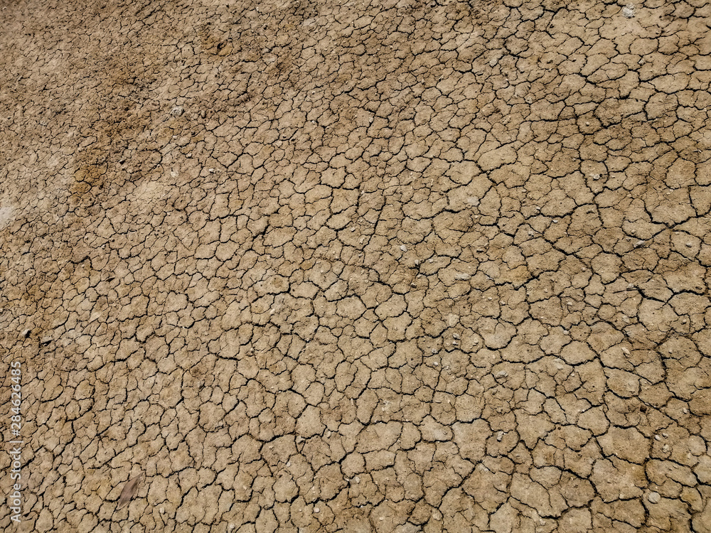 The ground is brown, caused by drought and global warming. The ground is brown, caused by drought and global warming.