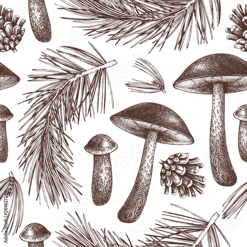 Vintage forest background. Hand drawn pine and birch bolete illustration. Autumn seamless pattern. Edible mushroom sketches. Perfect for recipe, menu, packaging, wrapping paper.