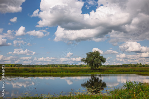Beautiful summer landscape. Horizontal color photography. © Andrii Oleksiienko