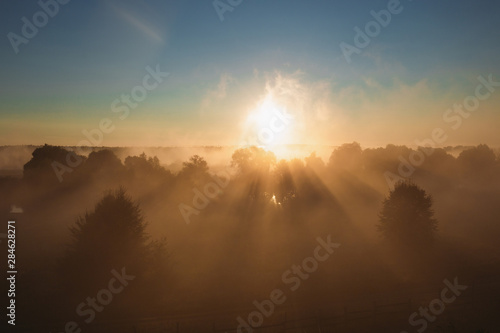 Amazing perfect magic early morning landscape. Aerial view of peaceful foggy and misty sunrise over tops of green trees of forest. Horizontal color photography. © Andrii Oleksiienko