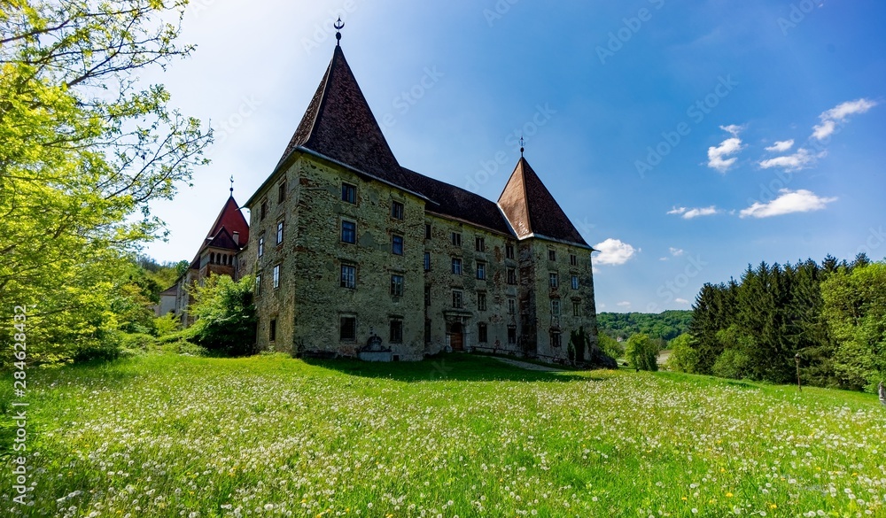 Fototapeta premium castle on the hill