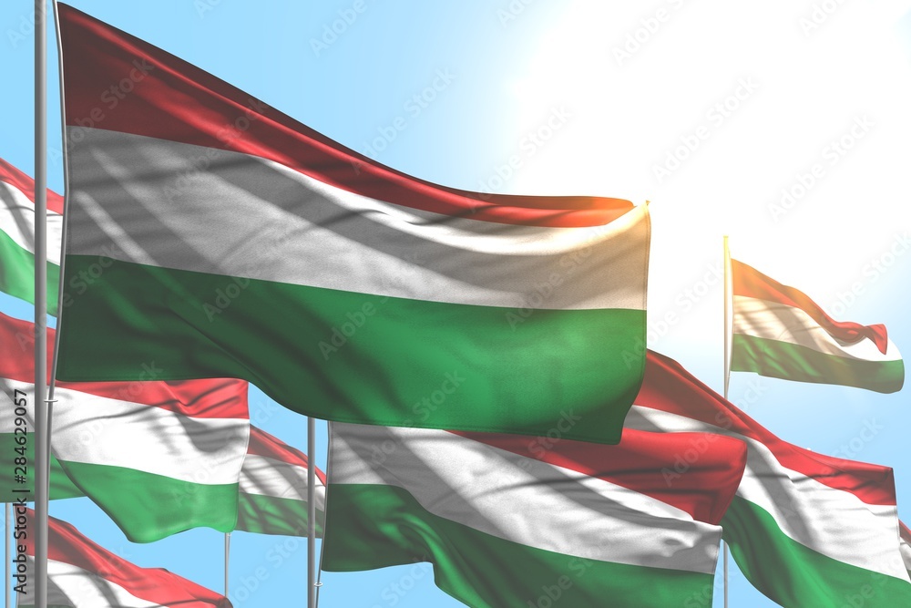wonderful many Hungary flags are wave on blue sky background - any feast flag 3d illustration.. wonderful many Hungary flags are wave on blue sky background - any feast flag 3d illustration..