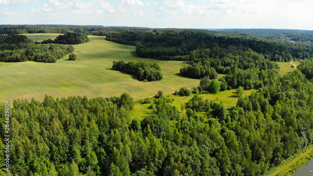 Aerial View Of A  Forest During Summer Season