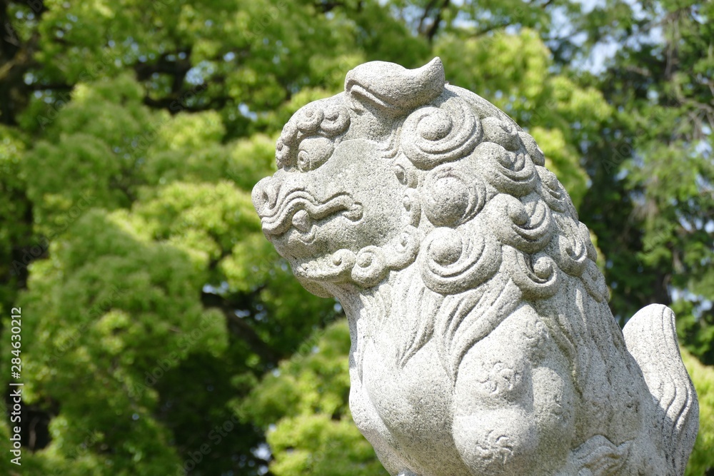 guardian dog statue in japanese traditional shinto shrine