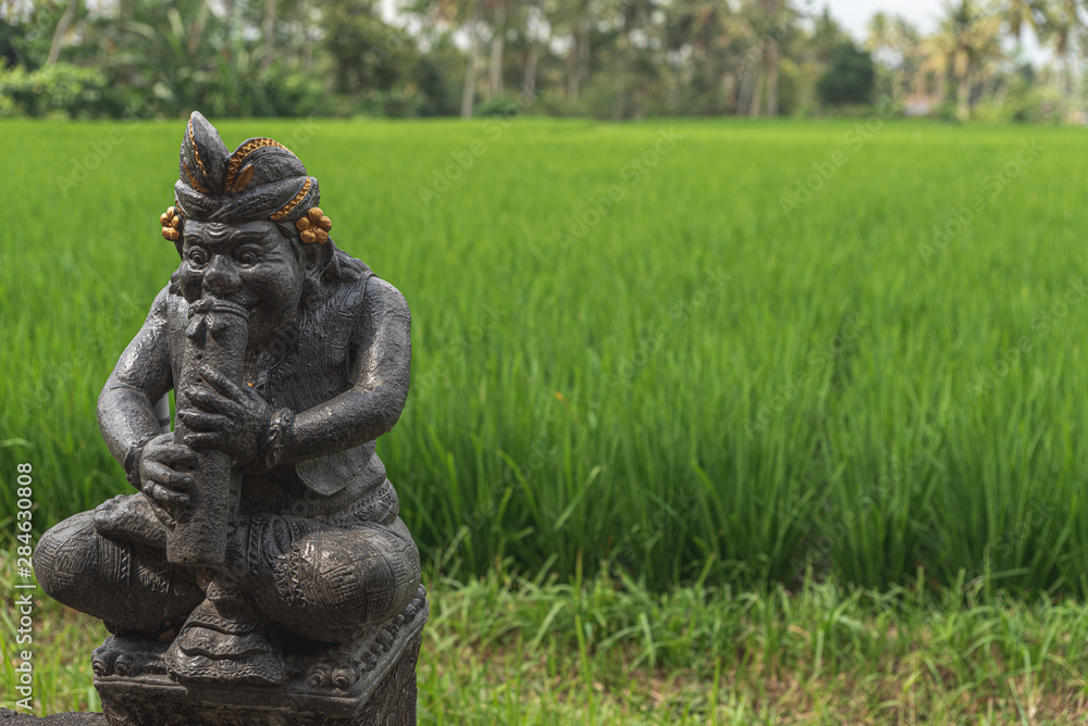 close up of an old statue guarding the rice fields in bali