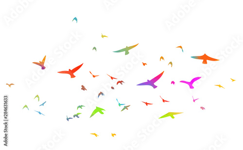 Multi-colored birds. A flock of flying rainbow birds. Vector illustration