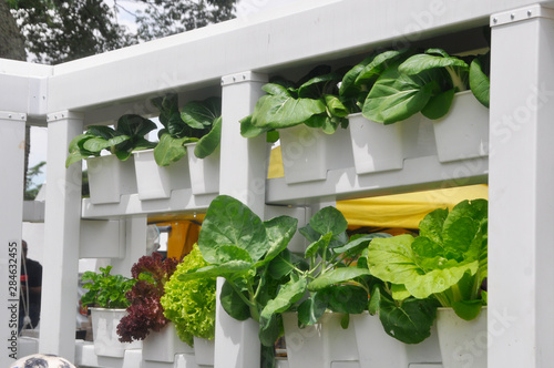 Vegetables and flowers in the plant nursery planted using a multi-storey hydroponic method to save space used. It is supplied by nutrient using water as the 